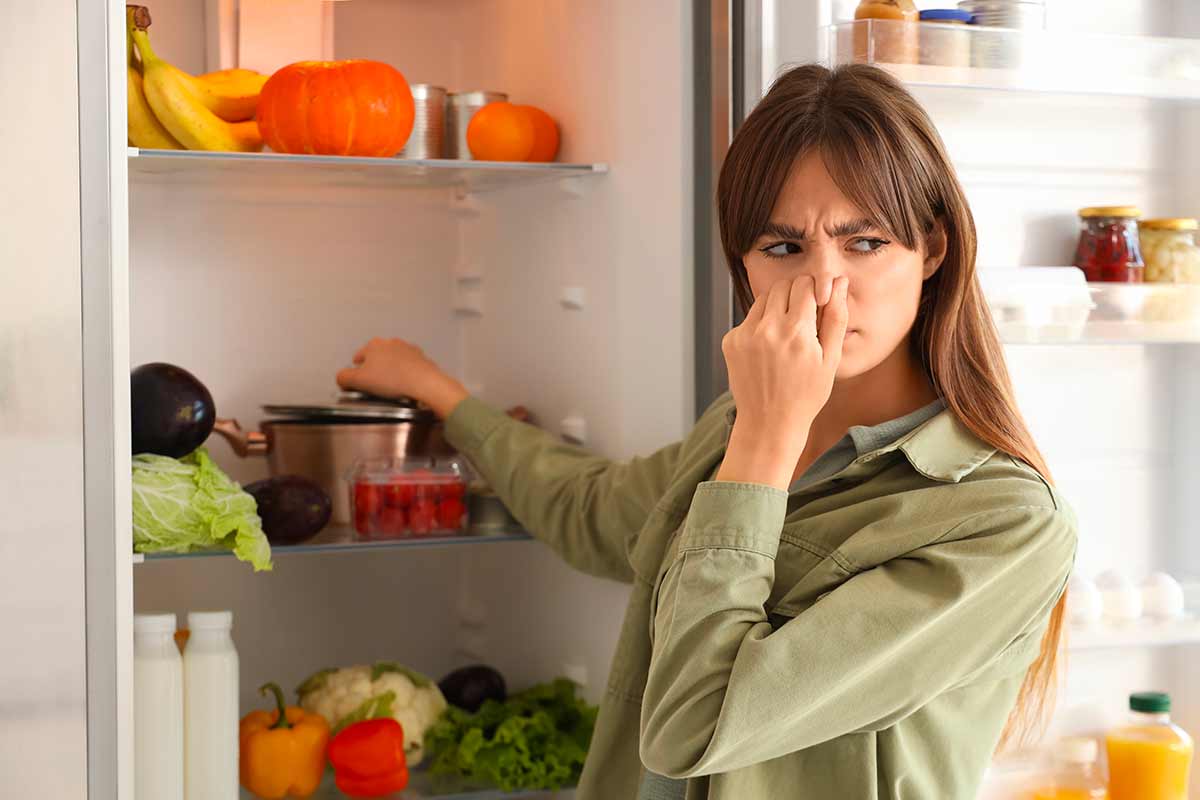Smelly refrigerator