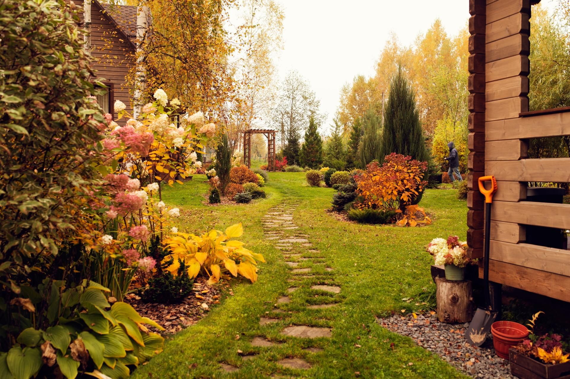 Autumn in the garden be sure to scatter on the lawn in October. The grass will survive the winter, and in spring it will be juicy green. Autumn lawn care