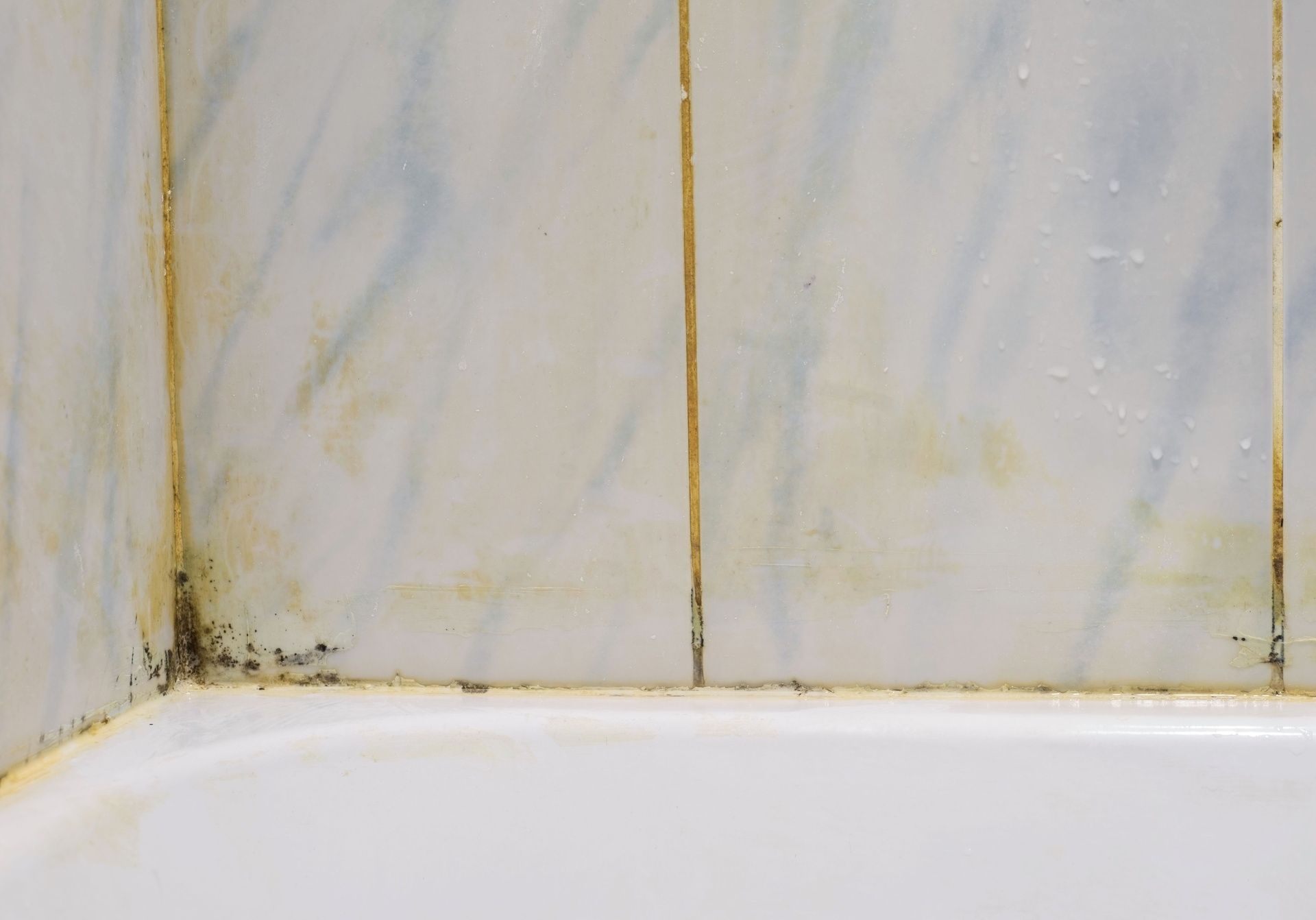 Fungus in the bathroom Mix with water 1:1. It will eat away mold from the silicone around the bathroom shower without chemicals. A way to deal with mold