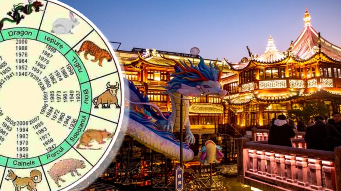 Chinese zodiac weekly October 6-12, 2025. Your opportunities will appear, which will make you evolve
