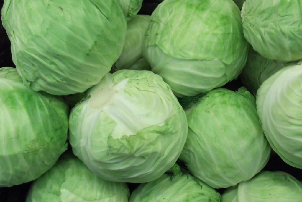 Cabbage is a strong source of antioxidants
