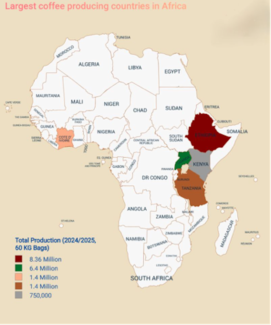 Coffee and the potential for added value in Africa: a strategic look at Portugal | By João Palmeiro