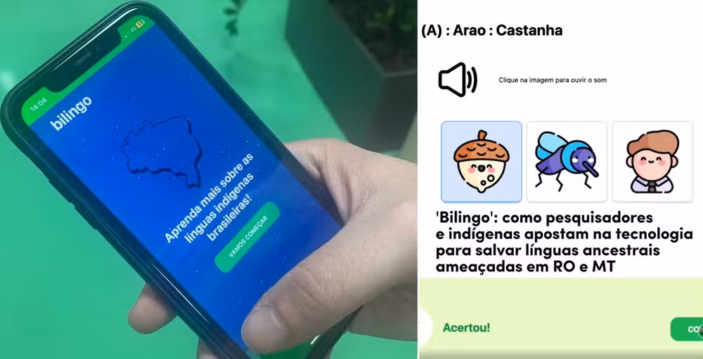 'Bilingo': project unites technology and indigenous peoples to save ancestral languages ​​at risk in Brazil