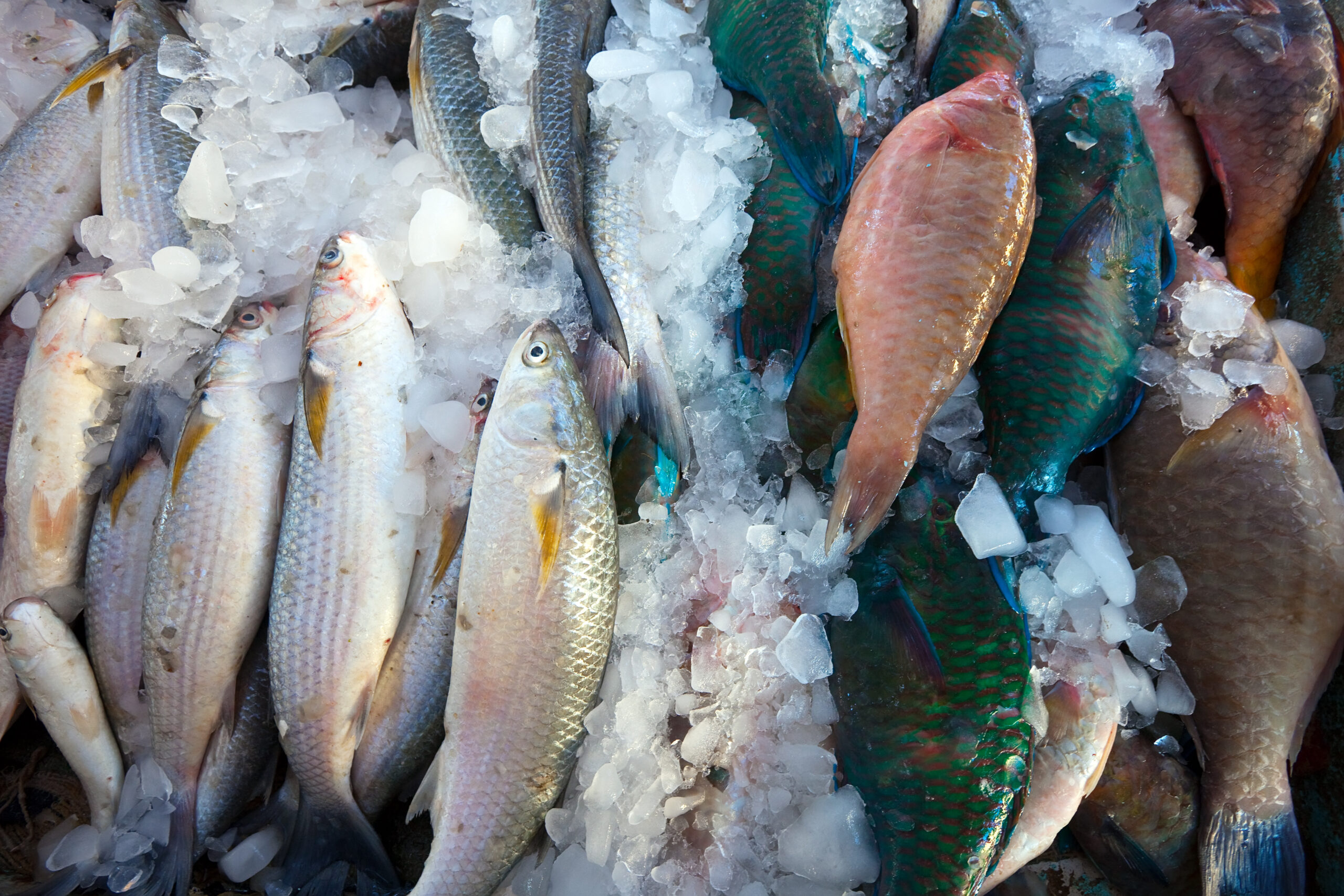 Expert warns: don't buy fresh fish in the supermarket if it looks like this and these are the reasons
