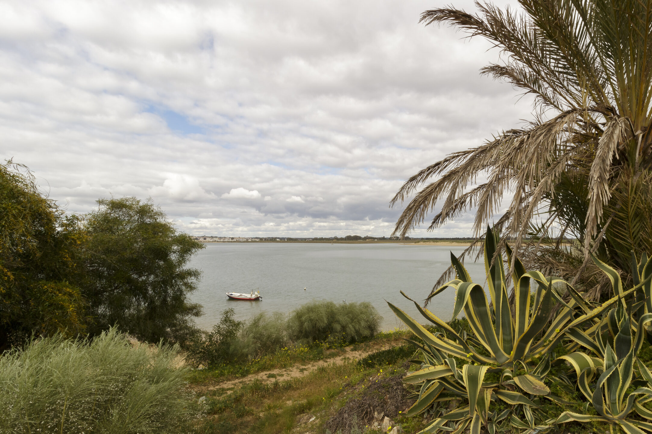 “I’m shocked”: American woman came to this city in the Algarve to retire and reveals how much her house cost