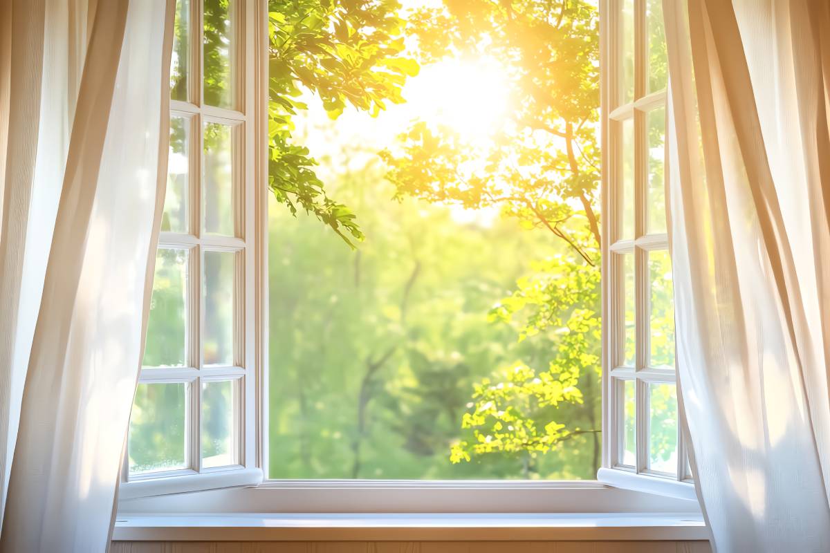 window wide open to avoid mold and condensation