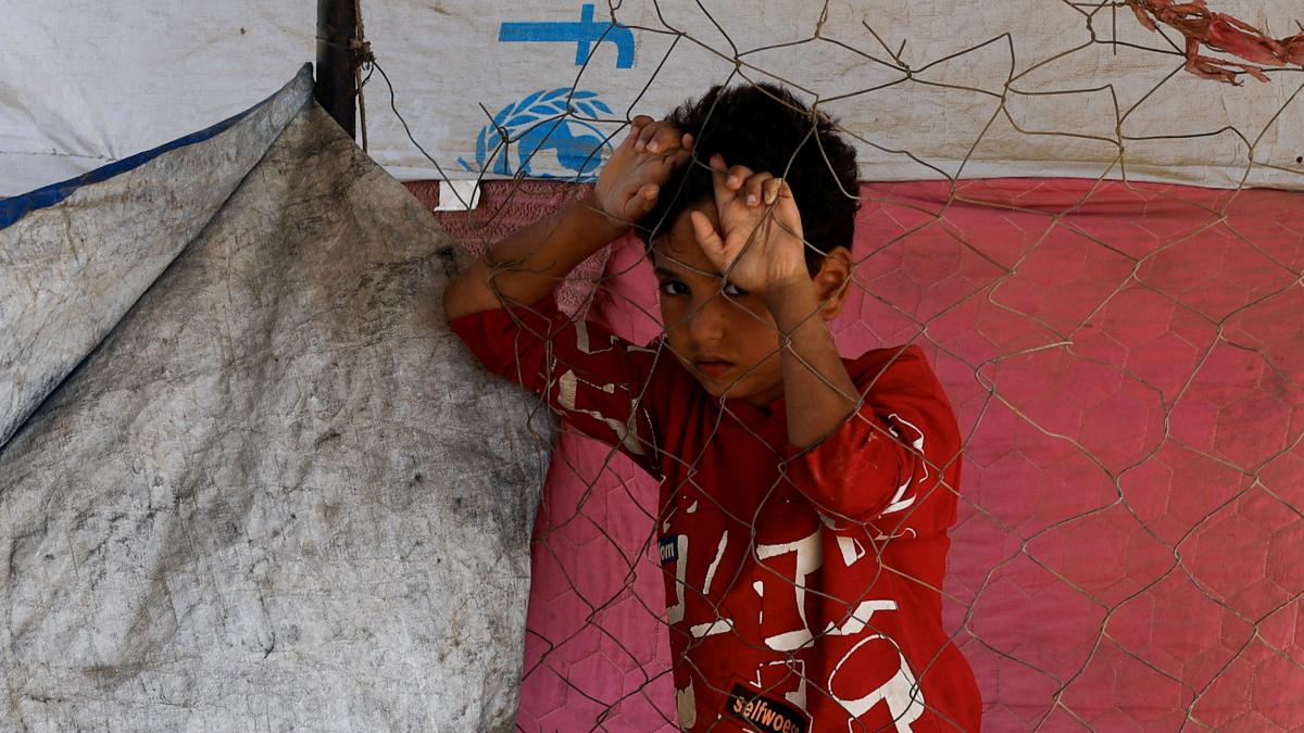 "Act quickly": Lsrael and Hamas negotiate from today how to apply the Trump plan for Gaza