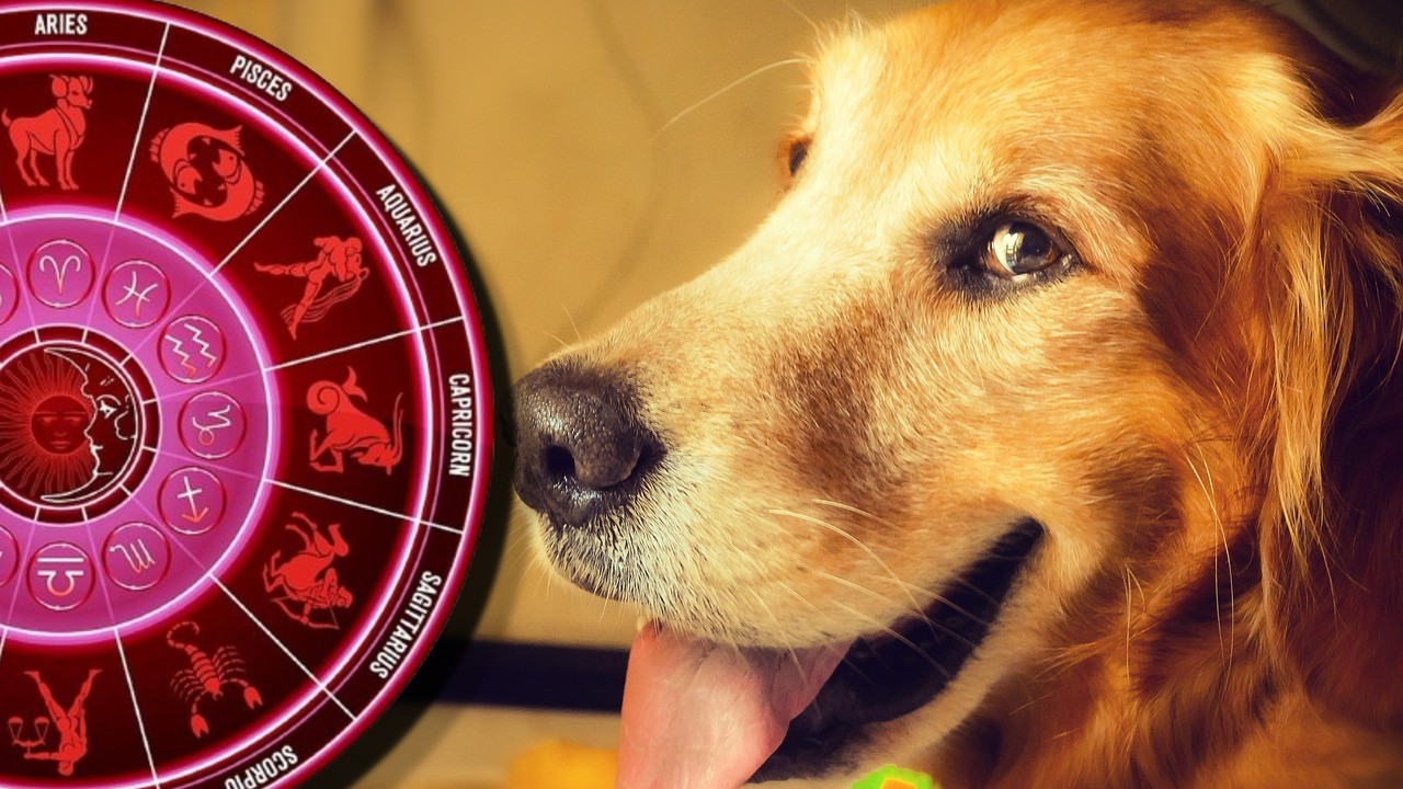 The gods decided: Three signs drew the winning batch of destiny. In the next five years await him full luck, money without number and happiness in two