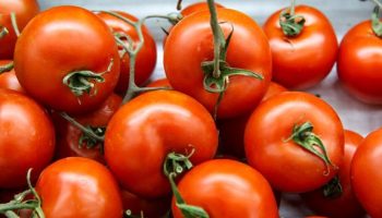 Never keep tomatoes here. You deprive them of flavor and vitamins