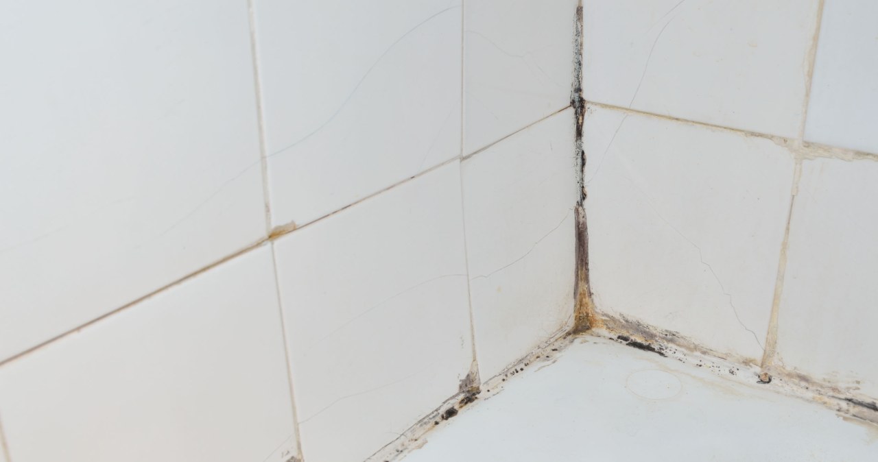 Mold most often appears where moisture meets lack of adequate ventilation. /123RF/PICSEL
