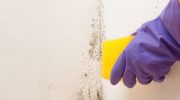 ​Buy at the pharmacy for PLN 2. Mold and fungus will easily disappear from the wall