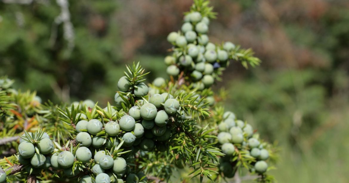 Bring it home in November. You can't deny yourself happiness                
