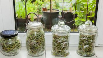 ​Works better than pharmacy cough syrups. My mother and grandmother made this every year