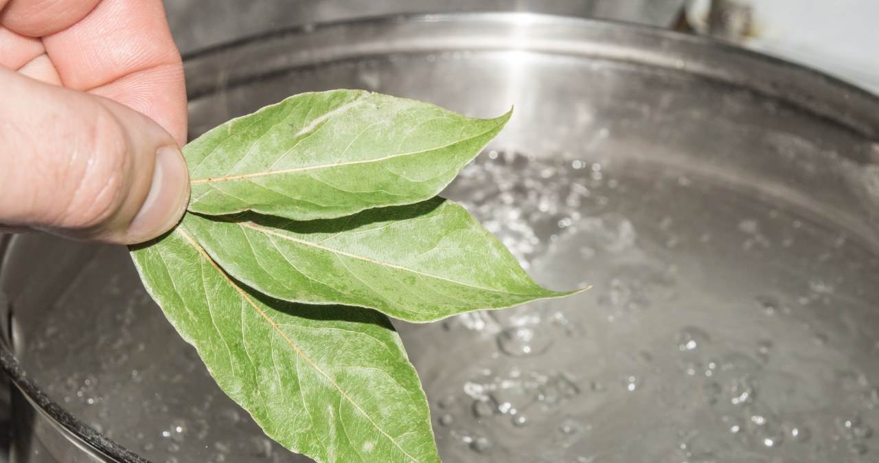 Bay leaves will effectively refresh the rooms and make them smell beautiful