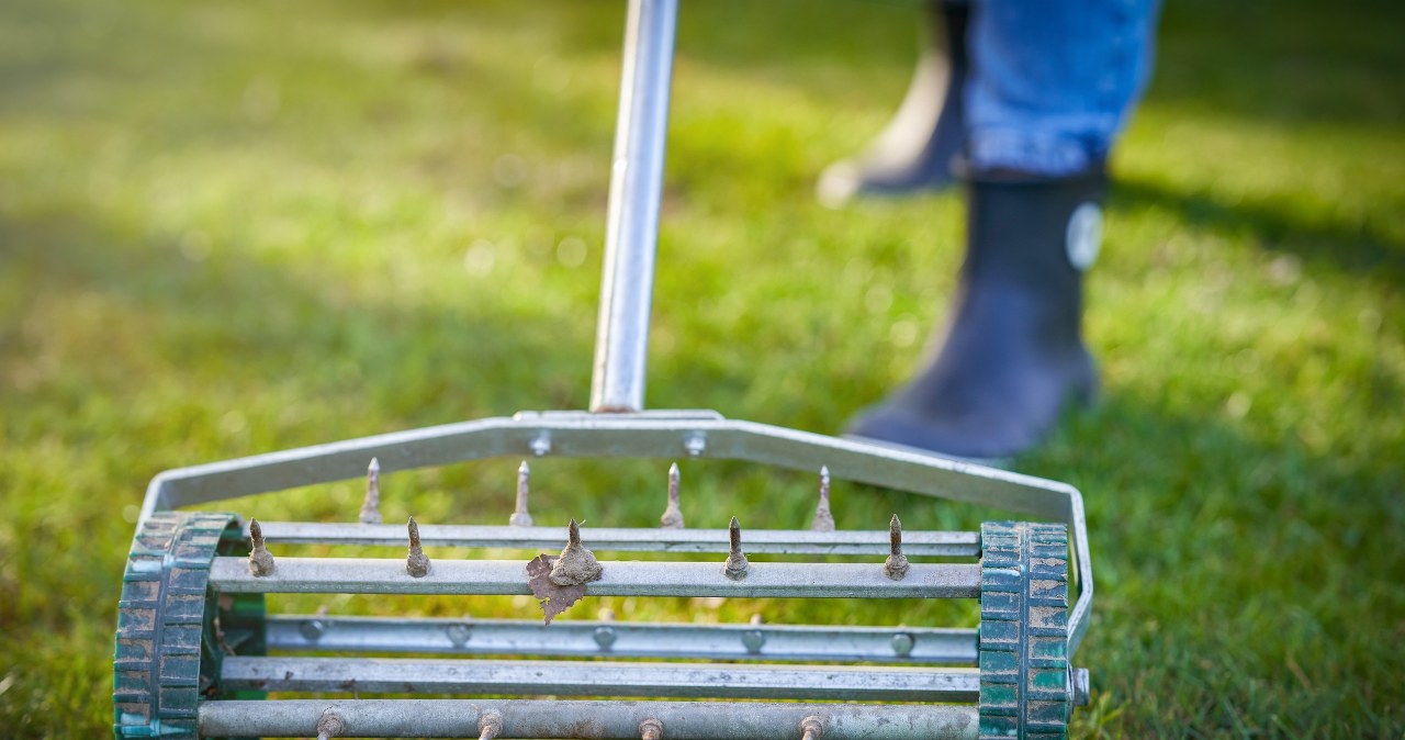 Aerating the lawn increases soil permeability, increasing plants' access to nutrients. /123RF/PICSEL