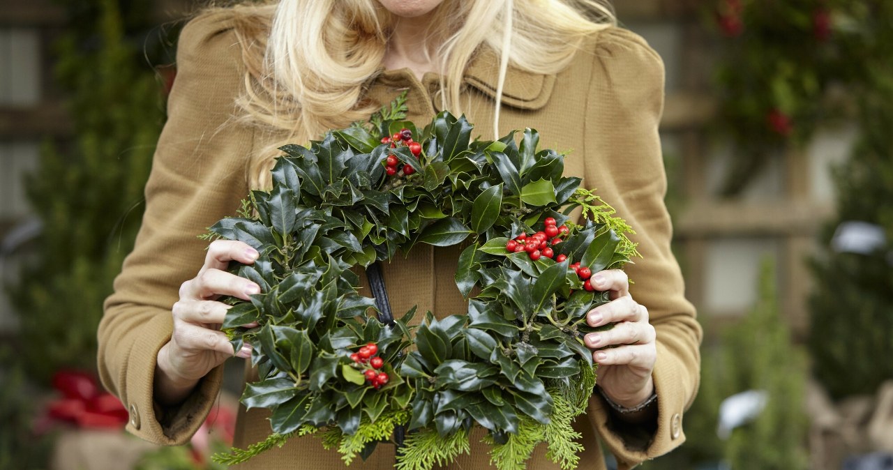 Christmas wreaths are often created using holly /east news /123RF/PICSEL