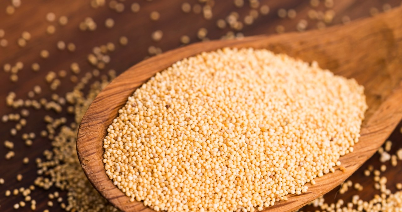 Good-quality white poppy seeds are the basis for the filling of the best Saint Martin's croissants. /123RF/PICSEL /123RF/PICSEL