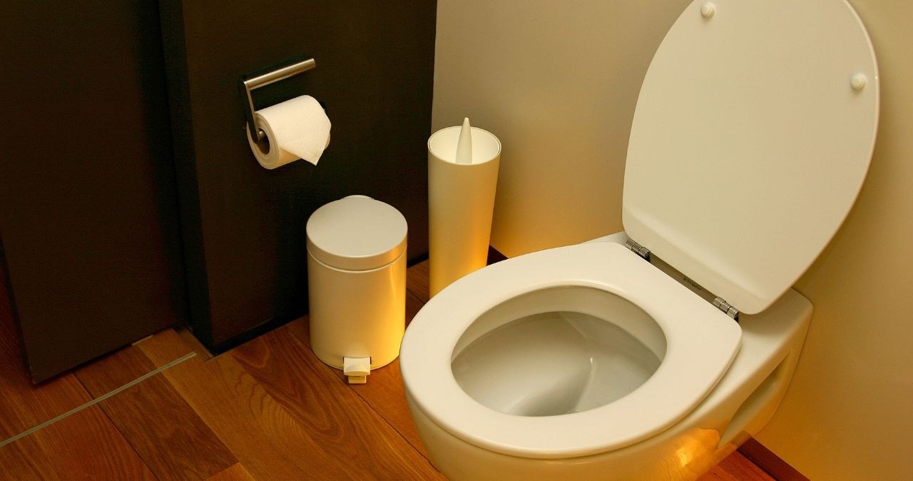 Pouring oil into the toilet is a common mistake /adobestock /INTERIA.PL