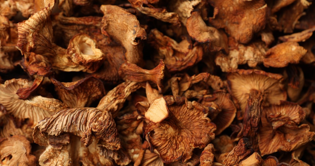 The season for fresh chanterelles is short, so their dried and powdered versions are becoming more and more popular. /123RF/Picsel, 123RF/Picsel /Pixel