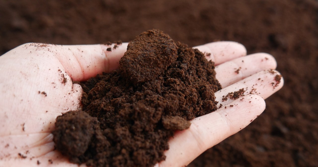 Don't pour it out after breakfast. It will be more useful for St. Andrew's Day fortune telling than wax