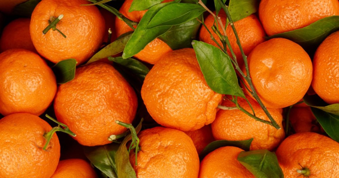 ​This is how you will choose sweet tangerines. Just point it out in the store                
