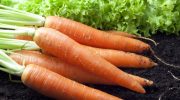 Do you store carrots this way? No wonder it deteriorates quickly
