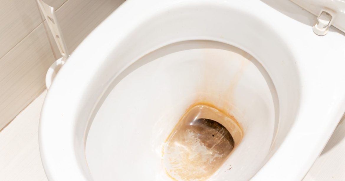 Throw it into the toilet overnight. In the morning it will be clean in the eyes                
