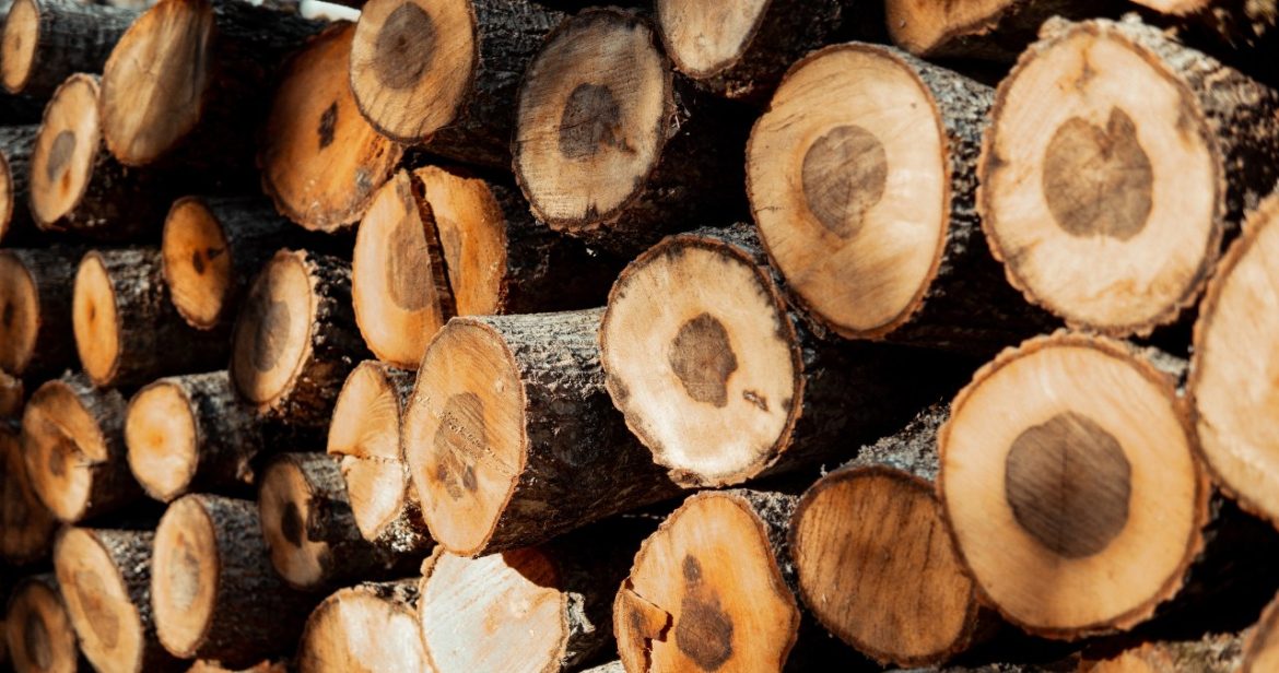 This way you will dry the firewood much faster. All you have to do is do it                
