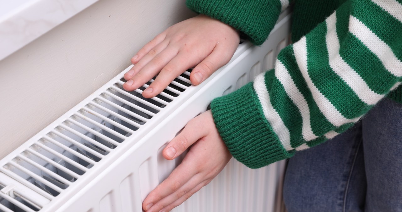 Grind and put on the radiator. The effect will exceed your expectations