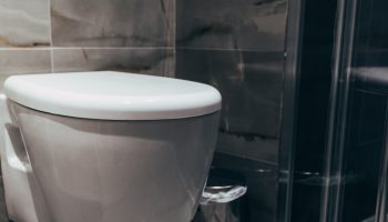 Never flush this down the toilet. Sewage failure guaranteed