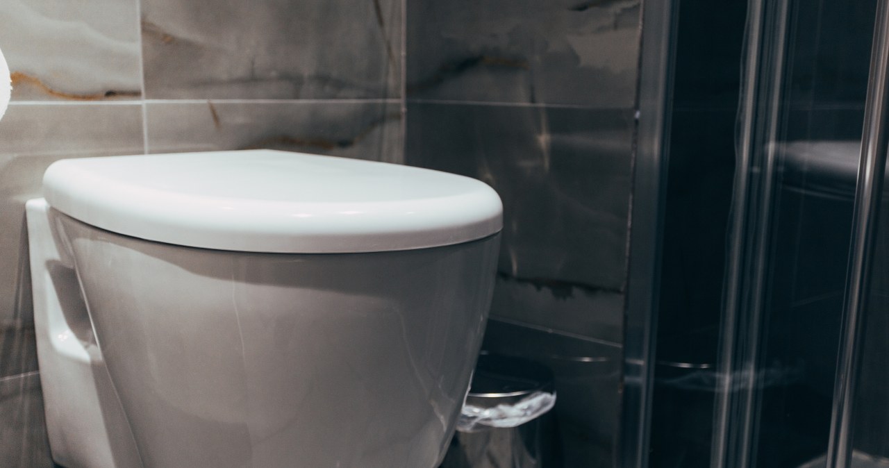 Never flush this down the toilet. Sewage failure guaranteed