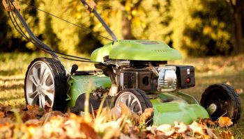 Do this to your lawn before winter. Otherwise, in spring the greenery will be poor