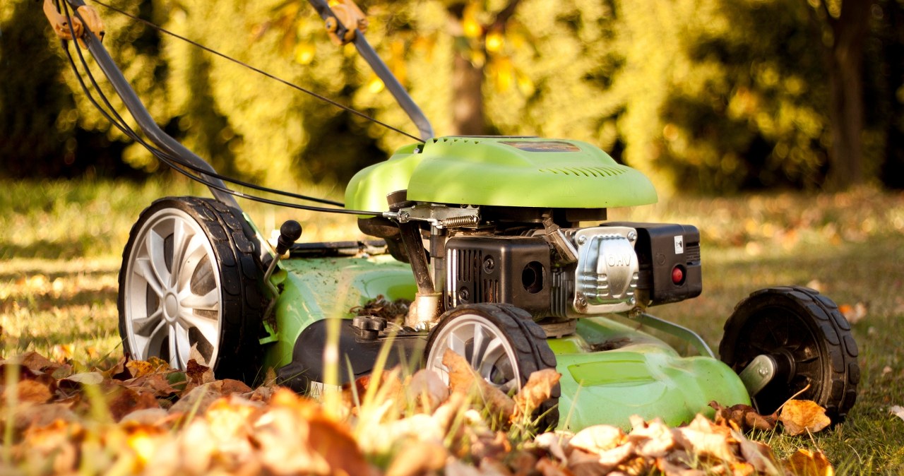 Do this to your lawn before winter. Otherwise, in spring the greenery will be poor