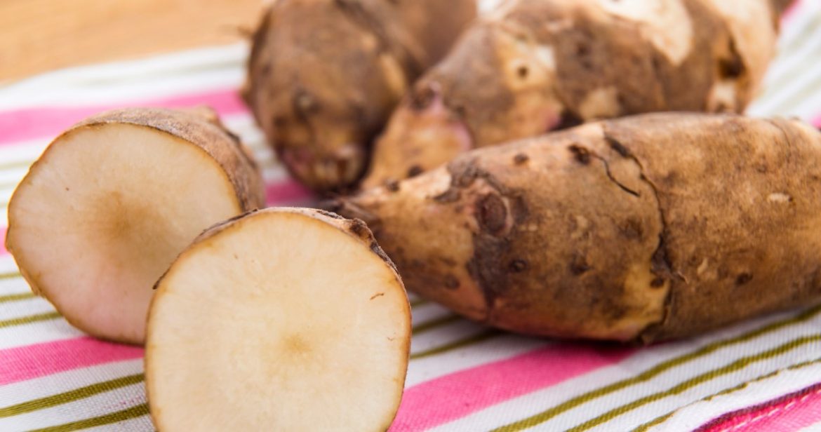 Few people use it regularly, which is a pity. It works wonders on the intestines and immunity                  
