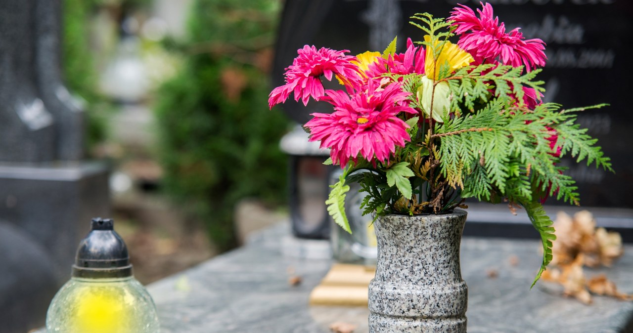 Feed this to the flowers on All Souls' Day. They will stay fresh for weeks to come