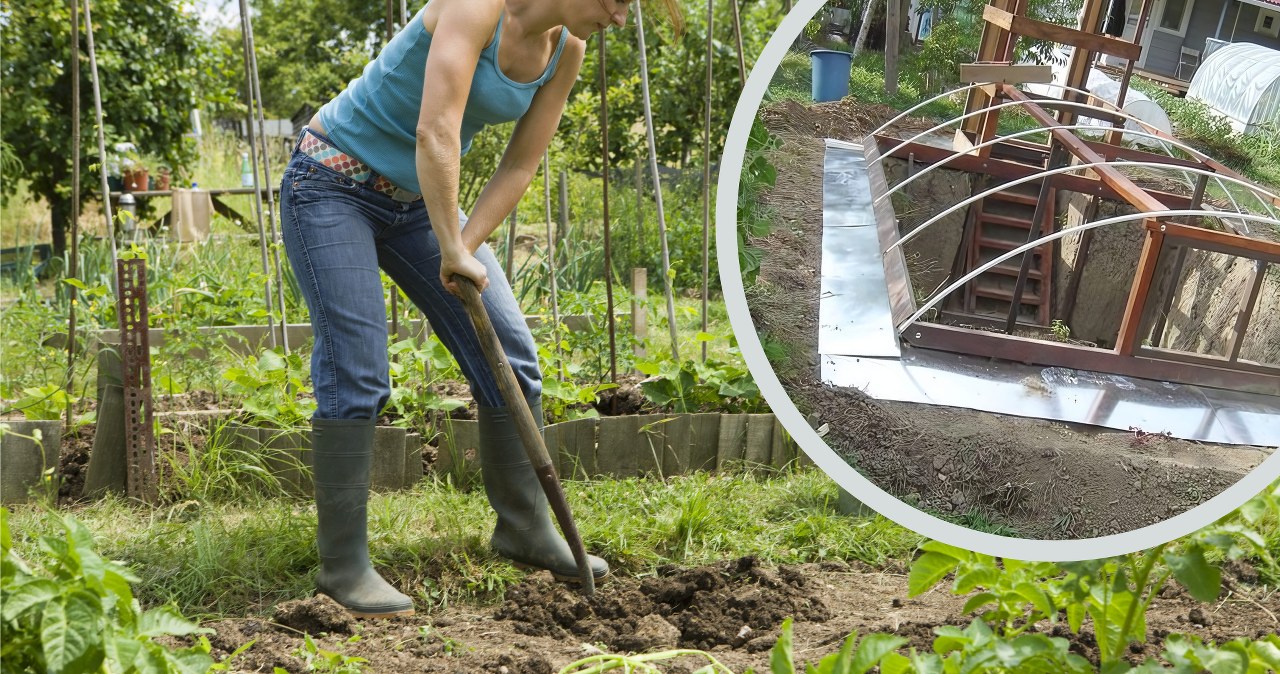 ​You can grow vegetables all year round. This one thing is enough
