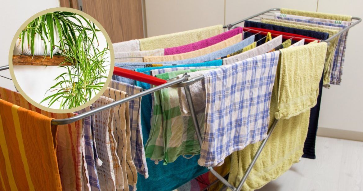 Place it next to the laundry dryer. You will quickly solve a tiring problem                 
