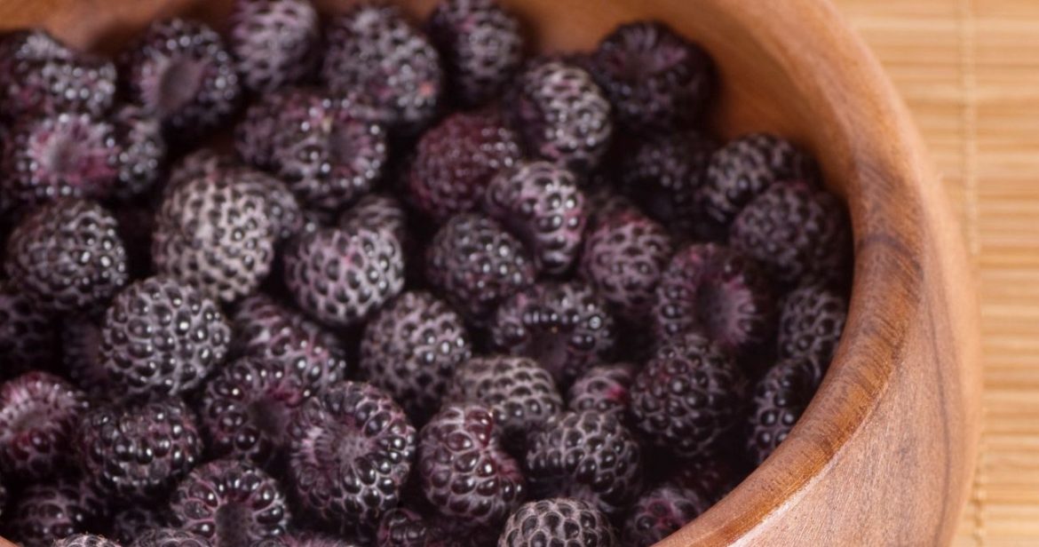 For crunching instead of chips. They work on the well-being of the heart, better brain function and appropriate weight                
