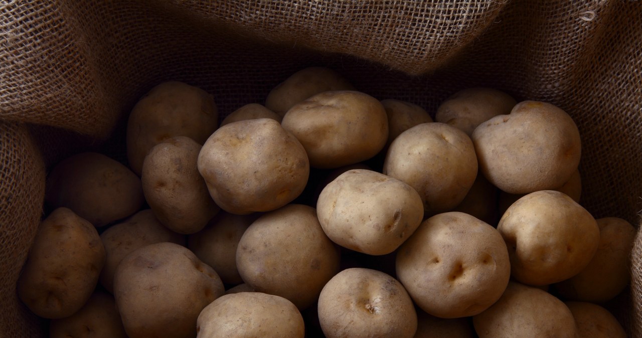 How to store potatoes so that they stay hard for a long time and do not sprout? Grandpa's patent is second to none