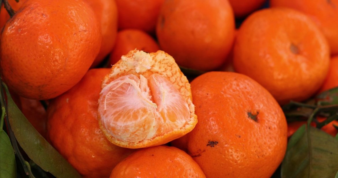 Start eating as soon as they appear in stores. They support brain function and cleanse the body of toxins                
