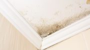 Forget about mold in your apartment. You will get rid of moisture so quickly