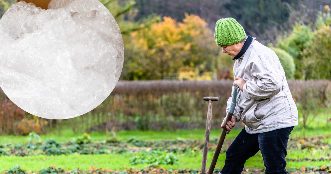 Instead of throwing away the bubble wrap, take it out to the garden. The effect will surprise you