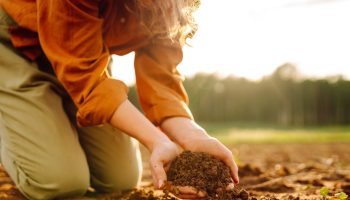 Instead of throwing it away, bury it in the garden. The plants will thank you