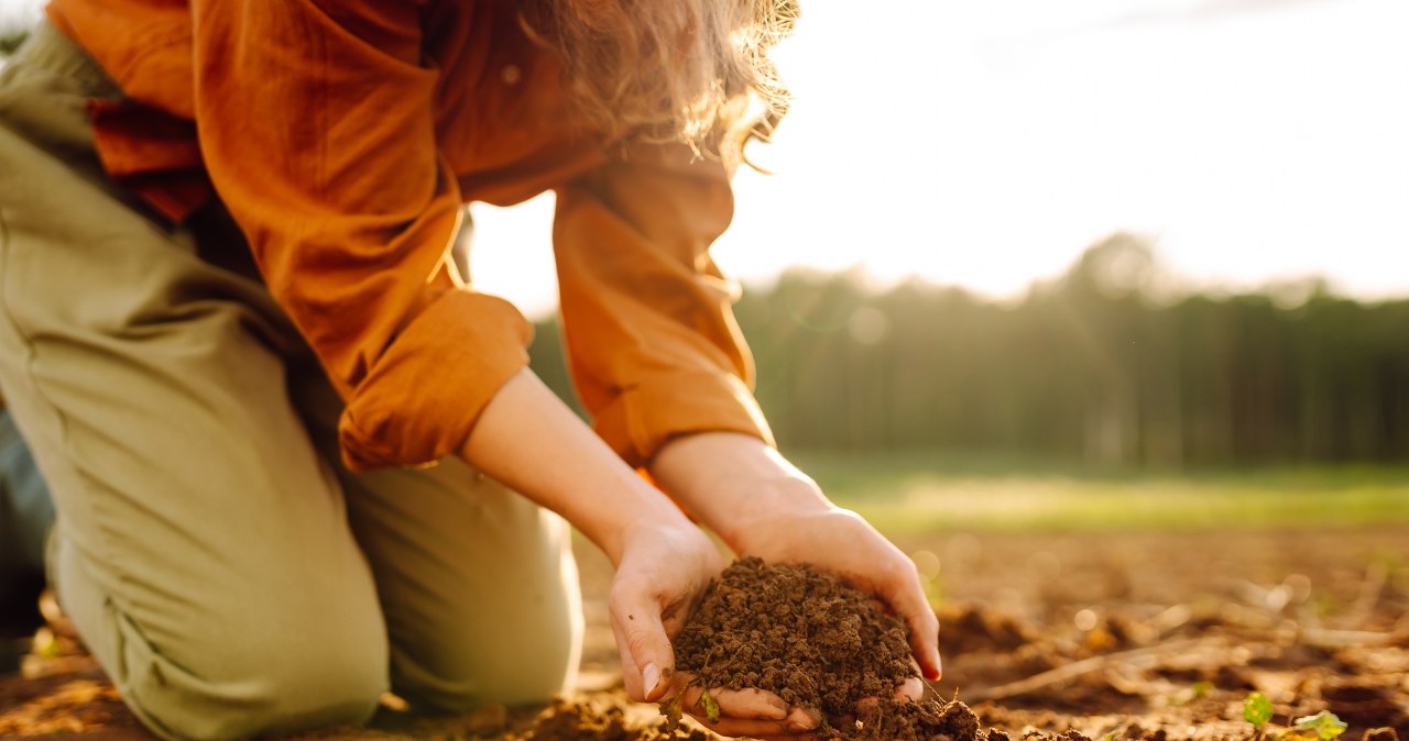 Instead of throwing it away, bury it in the garden. The plants will thank you