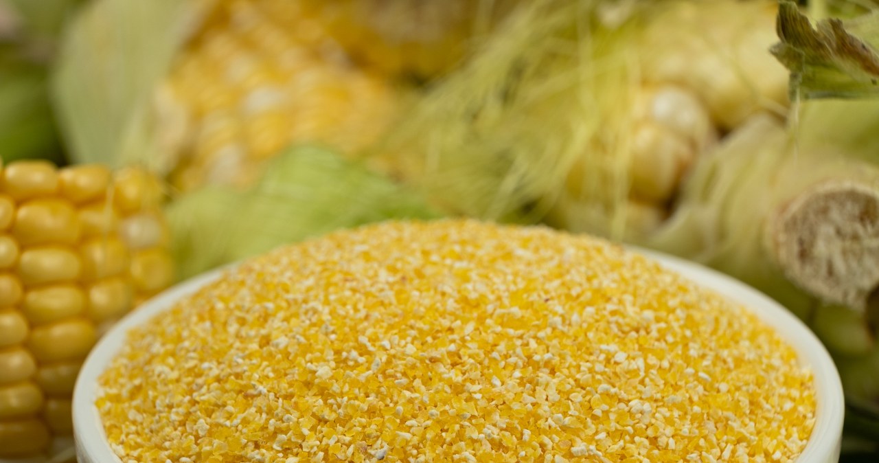 It is easily digestible, but provides a lot of energy. Seniors should eat often because it improves their eyesight and heart condition