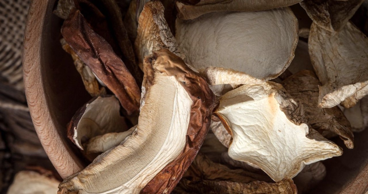 They are indispensable in żurek and bigos. Few people know that they make you feel full, improve brain function and support the immune system