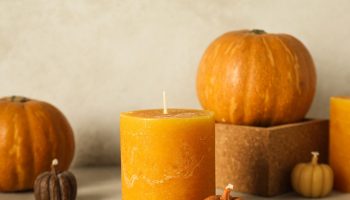 It's better not to buy such scented candles. They are very harmful to health