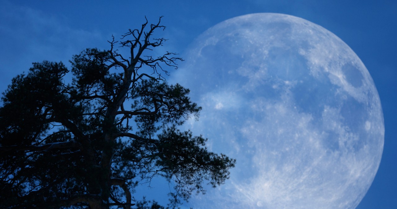 The cold moon will bring prosperity to these zodiac signs. Are you among the lucky ones?