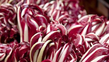 The most delicious of its kind, ripens in November. It cleanses the body, helps with weight loss and anemia