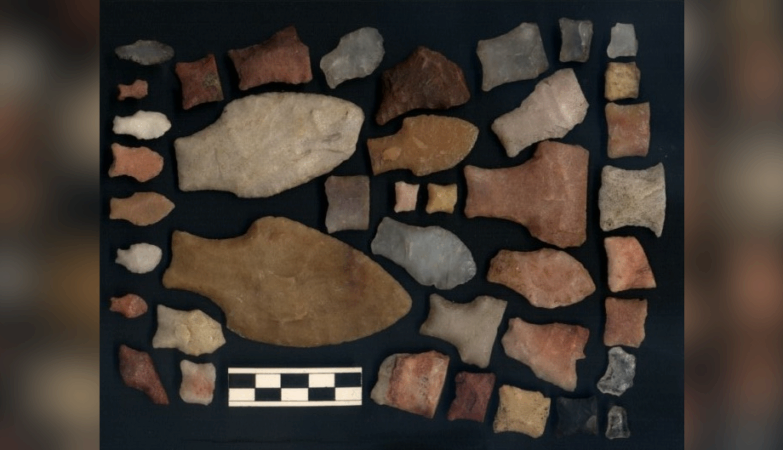 DNA reveals mysterious indigenous population that lived hidden in Argentina for 8,500 years